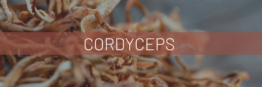 A Mushroom Fit For Royalty: Cordyceps (Cordyceps militaris)