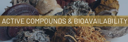 Unveiling the Power of Medicinal Mushrooms: A Dive into Beta-Glucans, Polysaccharides, and Bioavailability