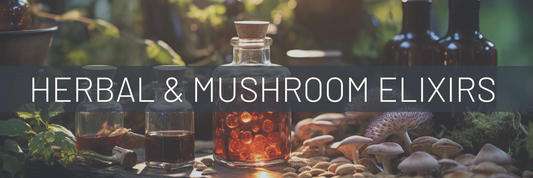 Unlocking the Power of Nature: Exploring the Best Herbal Tinctures and Medicinal Mushroom Elixirs