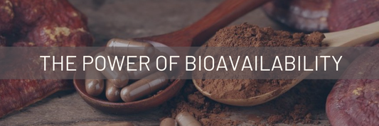 Unveiling the Power of Bioavailable Botanicals and Fungi: Enhancing Health and Wellness