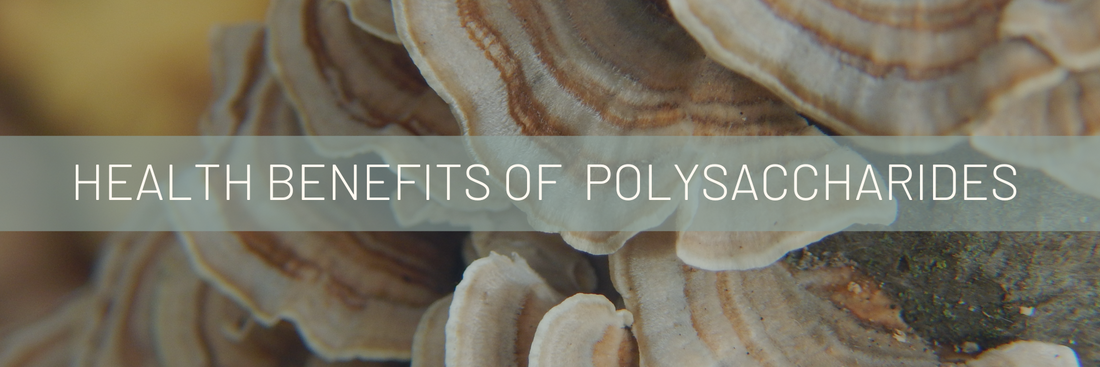 Unveiling the Health Benefits of Polysaccharides and Beta-Glucans from Functional Mushrooms