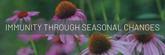 Supporting Your Immune System Naturally: Immunity Through Seasonal Changes.