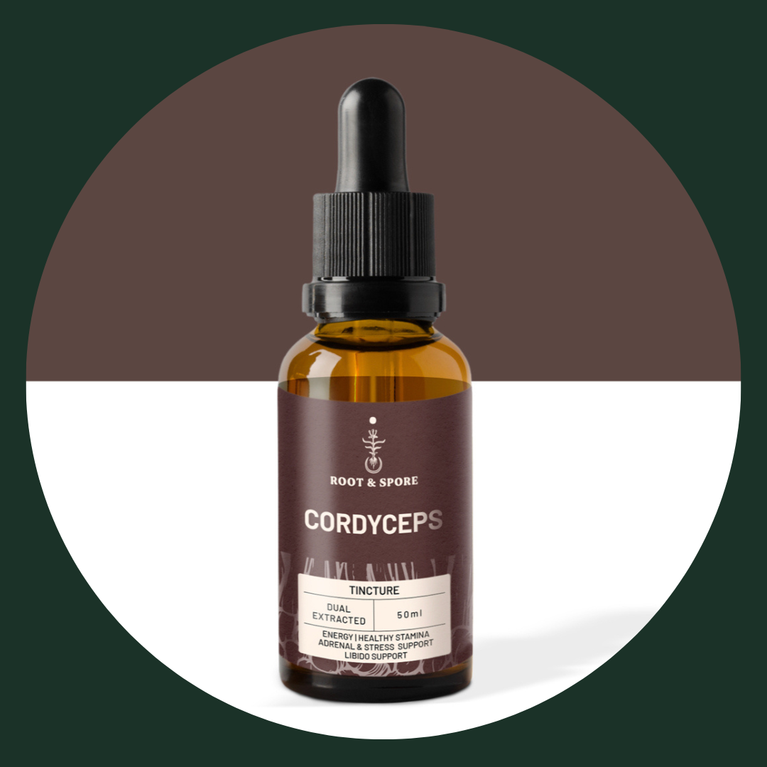 CORDYCEPS MUSHROOM TINCTURE