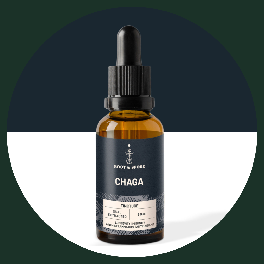 CHAGA MUSHROOM TINCTURE