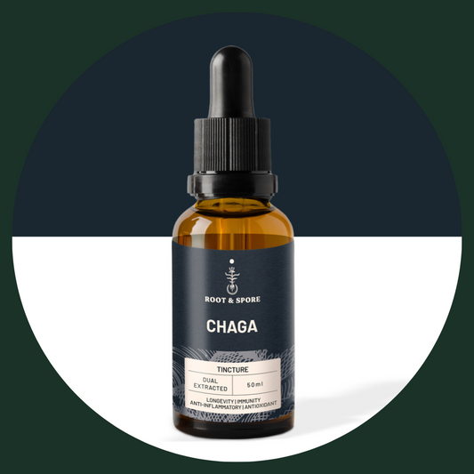 CHAGA MUSHROOM TINCTURE