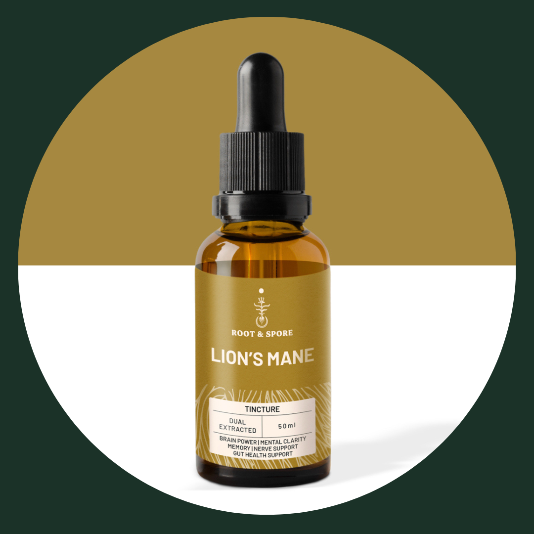 LION'S MANE MUSHROOM TINCTURE