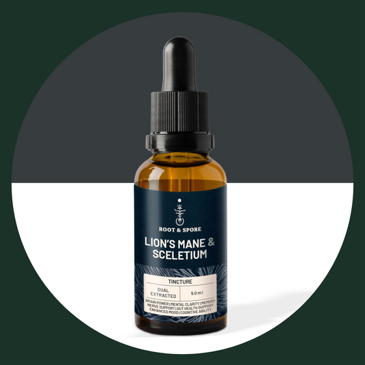 LION'S MANE & SCELETIUM TINCTURE