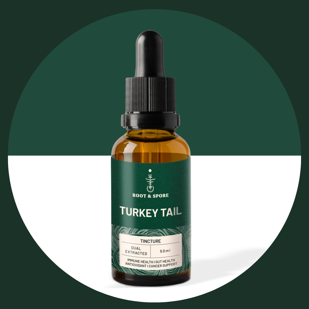 TURKEY TAIL TINCTURE